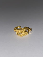 Load image into Gallery viewer, FLORID HOOP EARRINGS