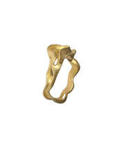 Load image into Gallery viewer, IRIS RING