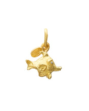 Load image into Gallery viewer, MOORISH IDOL FISH CHARM