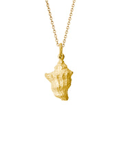 Load image into Gallery viewer, CONCH NECKLACE — LARGE PENDANT