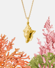 Load image into Gallery viewer, CONCH NECKLACE — LARGE PENDANT