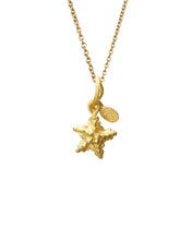 Load image into Gallery viewer, STARFISH CHARM