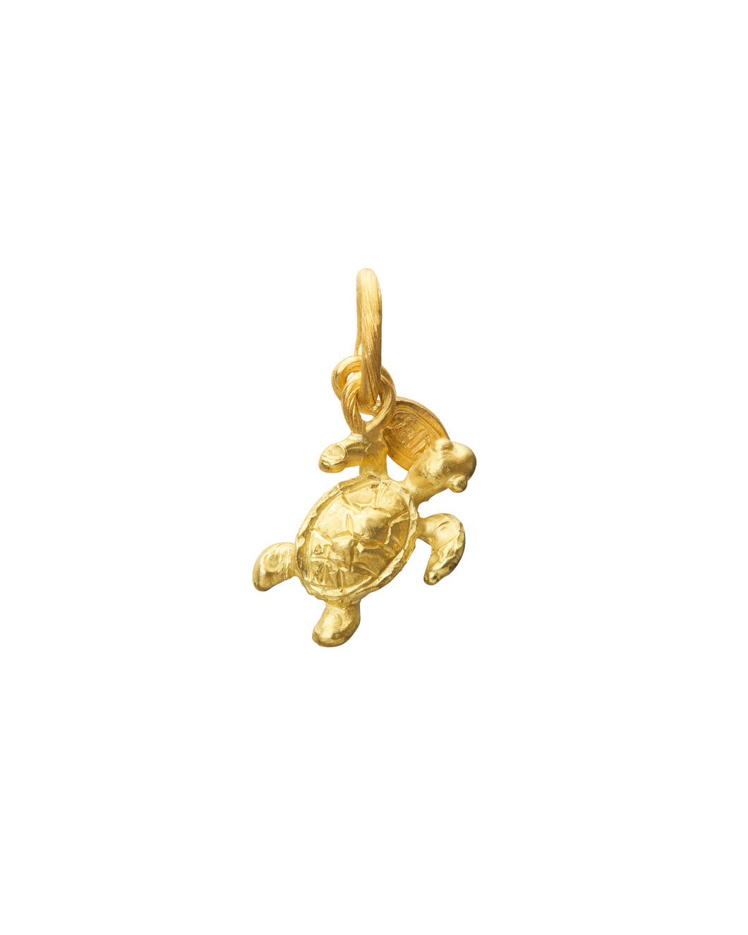 SEATURTLE CHARM